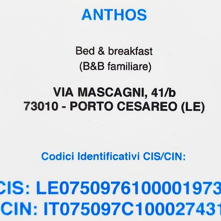 Bed and Breakfast Bed Anthos Porto Cesareo Exterior foto